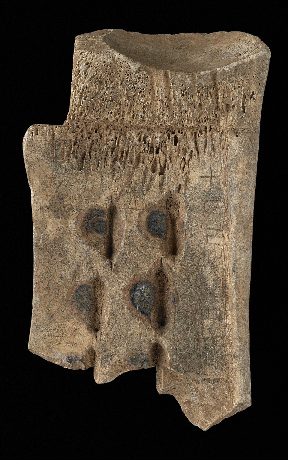 Oracle bone from the Couling-Chalfant collection.jpg